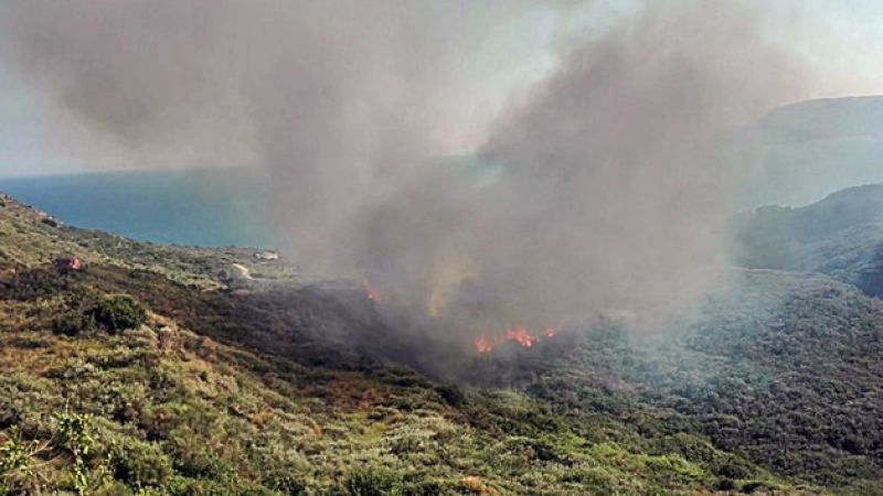 Нов огнен ад в Гърция! Голям брой пожарникари и хеликоптери се борят със стихията (СНИМКА)