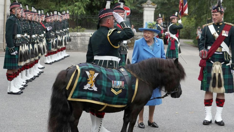 Пони рецидивист преследва британската кралица и не спира да й трови живота (СНИМКИ/ВИДЕО)