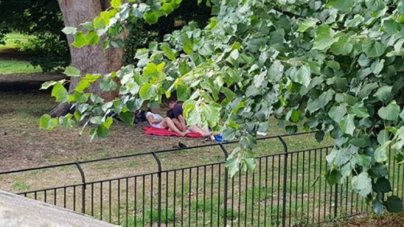 Секс оргия посред бял ден в градски парк (СНИМКИ 18+)