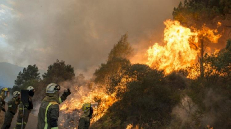 На гръцки остров е избухнал голям пожар