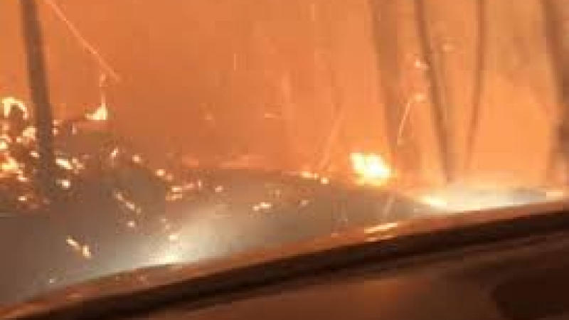 Бягство от пъкъла! Баща и син се измъкват живи от страшен горски пожар с автомобил (ВИДЕО)