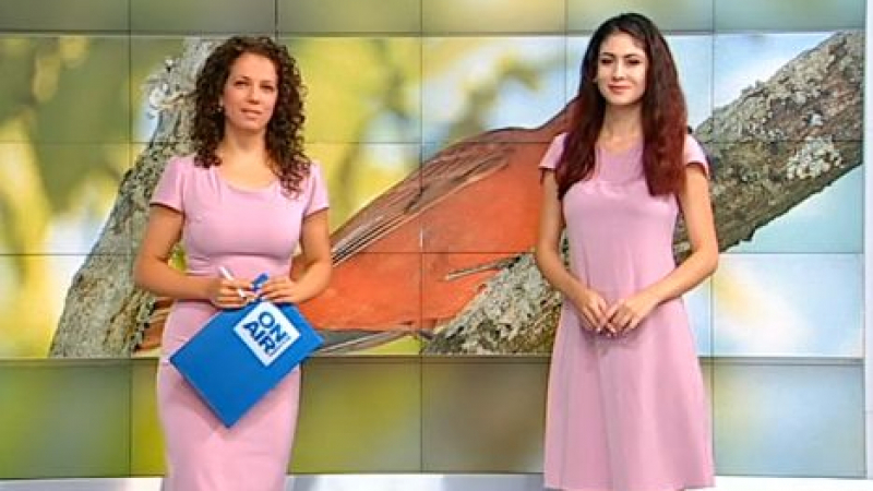 Водеща на Bulgaria ON AIR и синоптичка шашардисаха зрителите с рокли и прогноза за "облачно с кюфтета" (СНИМКИ)