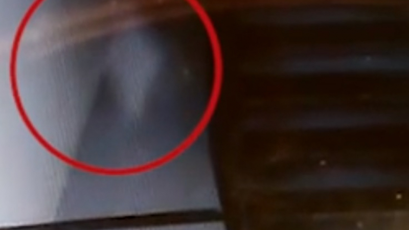 Експерт по призраците остана шокиран от това, което видя в къща във Флорида (ВИДЕО)