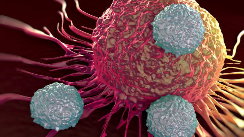 Това са 9-те най-мощни борци на раковите клетки