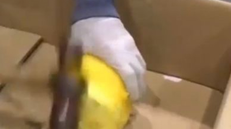 "Златни" ананаси, натъпкани с кока, хванаха в Мадрид (ВИДЕО)