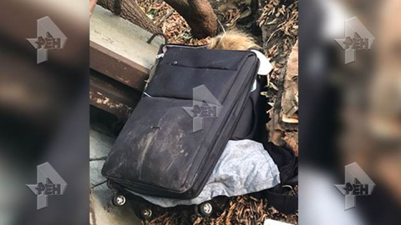 Откриха тяло на голо момиче до куфар в Москва (ВИДЕО)