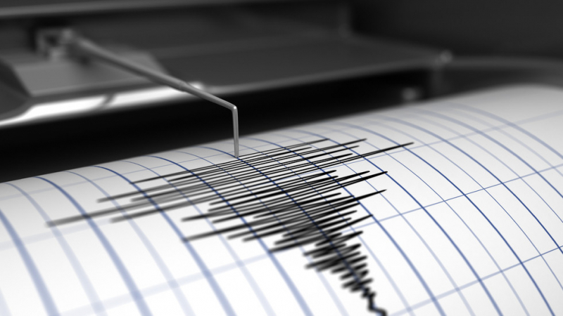 Земетресение с магнитуд 5.5 по скалата на Рихтер е регистрирано в Тонга