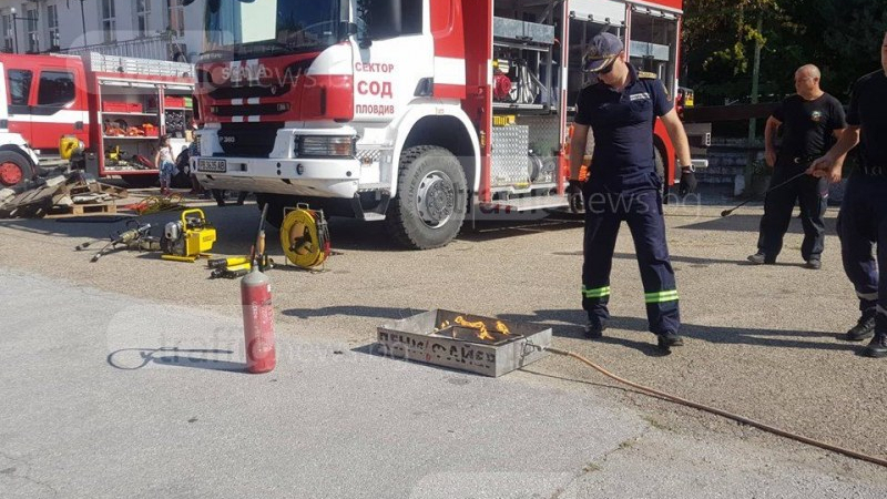 Смях! Кобра на дърво в Пловдив, алигатор във вана - най-забавните случаи на пловдивските пожарникари
