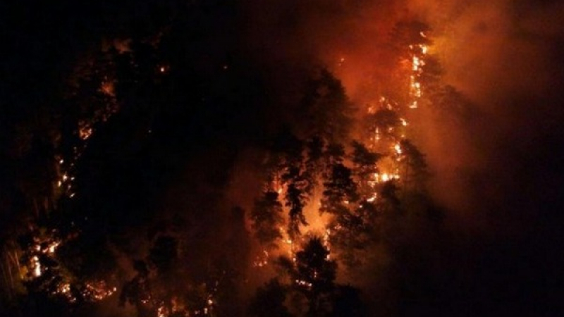 Огромен пожар пламна край Созопол, вой на линейки раздра тишината 