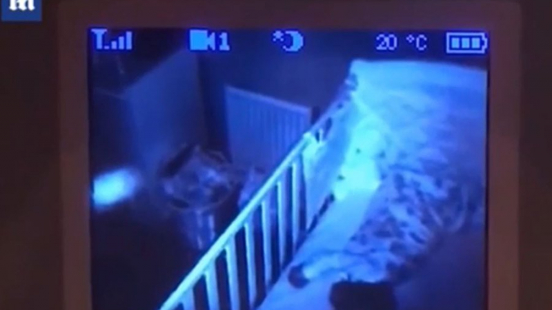Баща на малко дете разгледа запис на видеобавачка и изпадна в ужас (ВИДЕО)