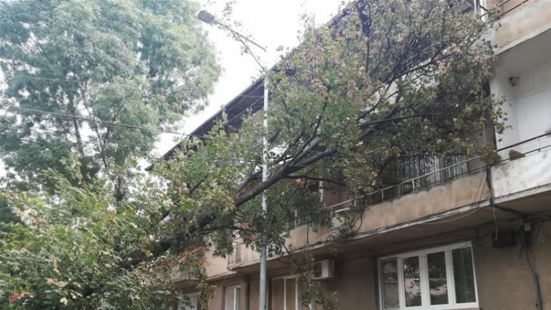 Силният вятър направи огромна поразия във Видин, по чудо се размина без жертви (СНИМКИ)
