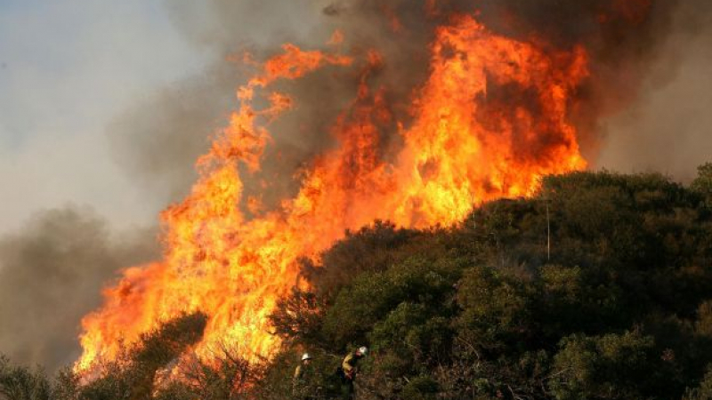 Няма край: Няколко пожара вилнеят в Карловско
