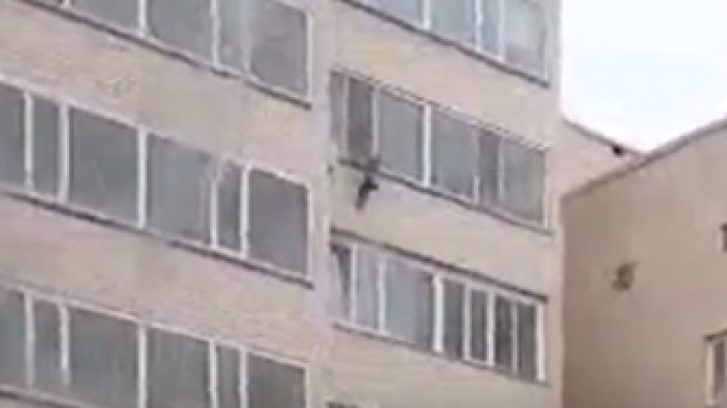 Невероятен късмет! Дете полетя от 10-ия етаж, но смелчага от долен прозорец го улови (ВИДЕО)