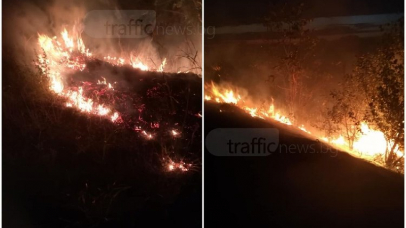 Пожар бушува край Пловдив! Огнеборци опитват да потушат стихията (СНИМКИ)