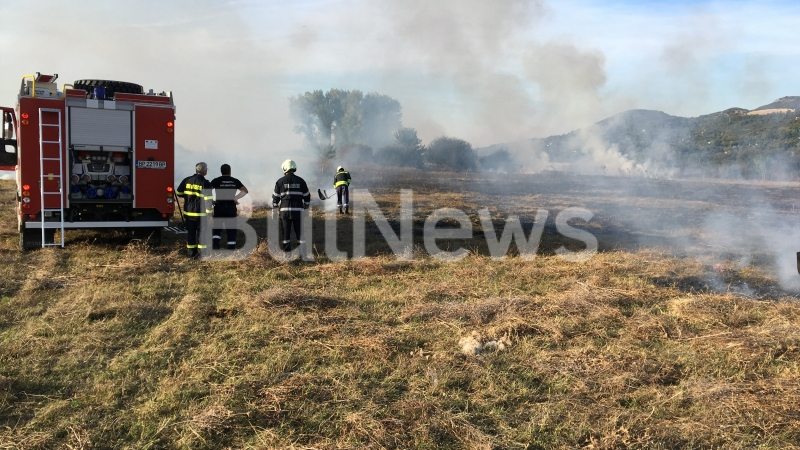 Голям пожар в полето край Враца, става опасно за лозята (СНИМКИ)