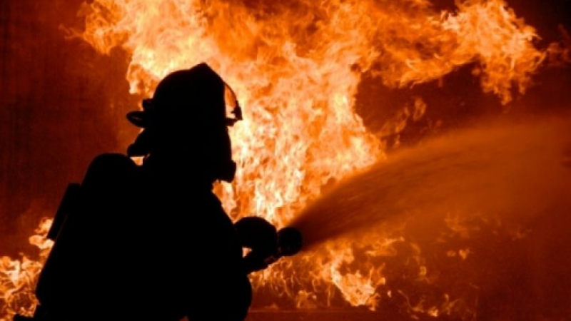 Огнен ад затри 92 животинки в Ломско 