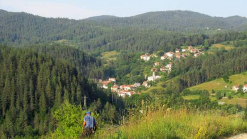 Голяма трагедия на банкет за старта на ловния сезон в село Полковник Серафимово 