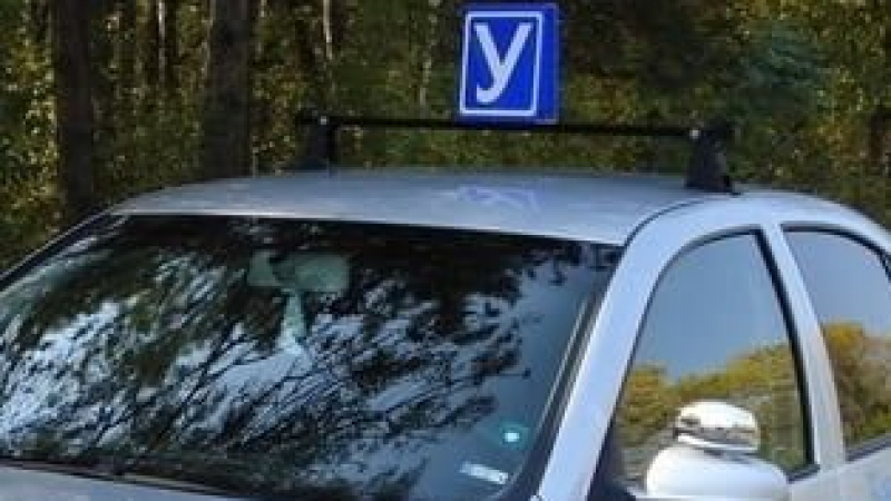 Разнищиха нагла ромска схема за шофьорски книжки, от която се пръкват убийците на пътя