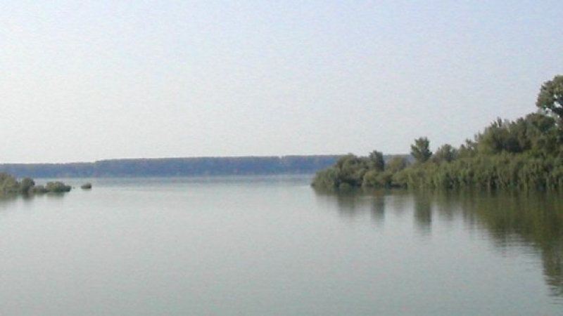 Мазна черна гадост плъзна по Дунав 