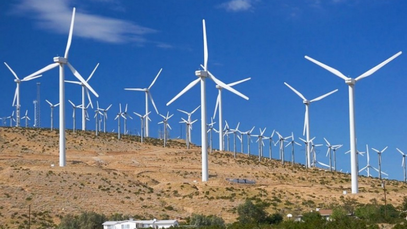 Учени от Харвард шокиращо: Вятърните електроцентрали ще унищожат Земята, по-вредни са за околната среда от дизела