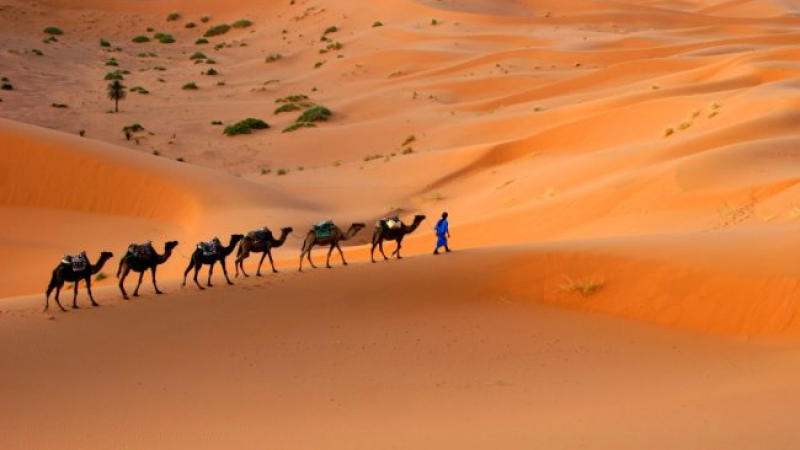 Учени разкриха тайната на Сахара!
