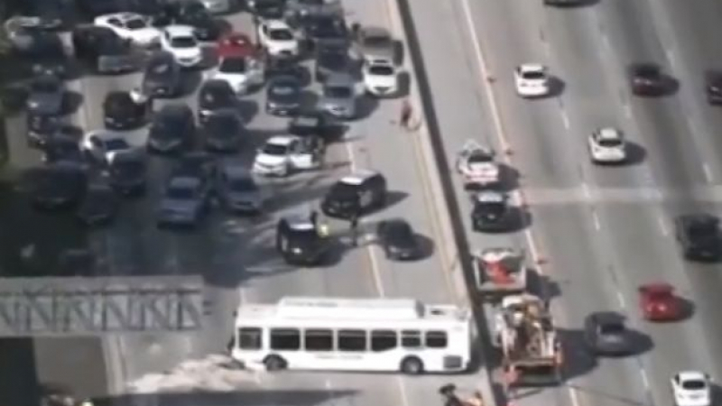 Жестока катастрофа в Лос Анджелис, над 40 са ранени (ВИДЕО)