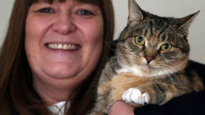 Котка спаси стопанката си от рак на гърдата два пъти