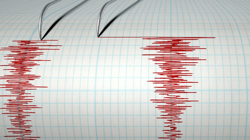 Силно земетресение край бреговете на Нова Каледония