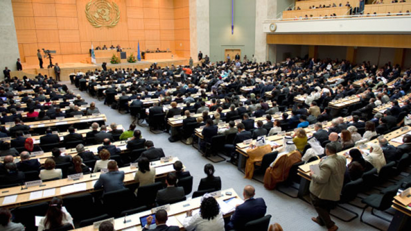 Нова резолюция за ситуацията с правата на човека подготвят в ООН
