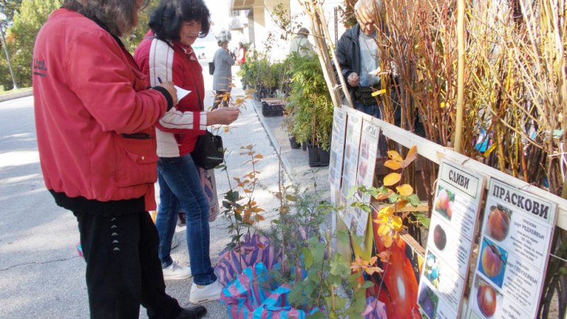 Модерни решения за градината на изложбата „Цветна есен 2018“ в Пловдив 