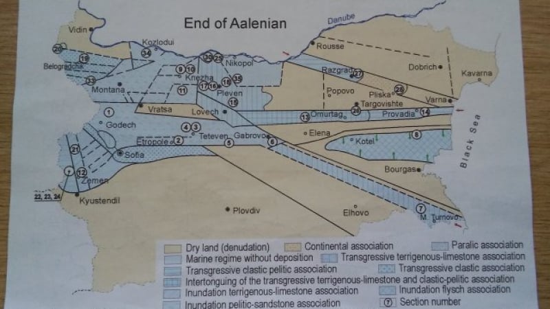 Американски зет в Раковски търси петрол и динозаври 