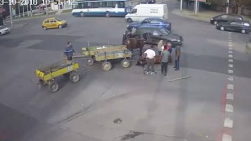 Това държава ли е? Шокиращо ВИДЕО с коне и две каруци, които връхлитат в галоп кола на голямо кръстовище в Хасково