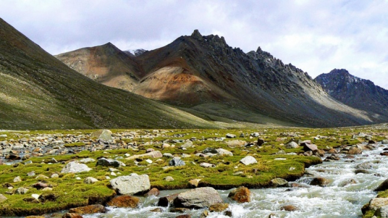 "Виаграта на Хималаите" става жертва на климатичните промени