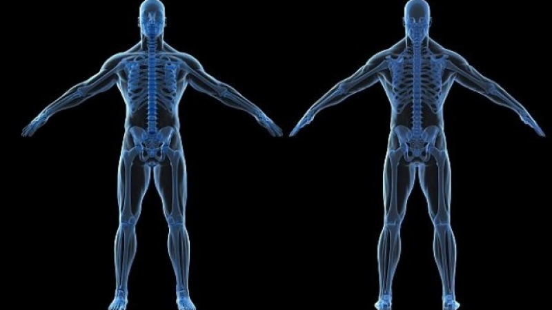 12 мита за човешкото тяло