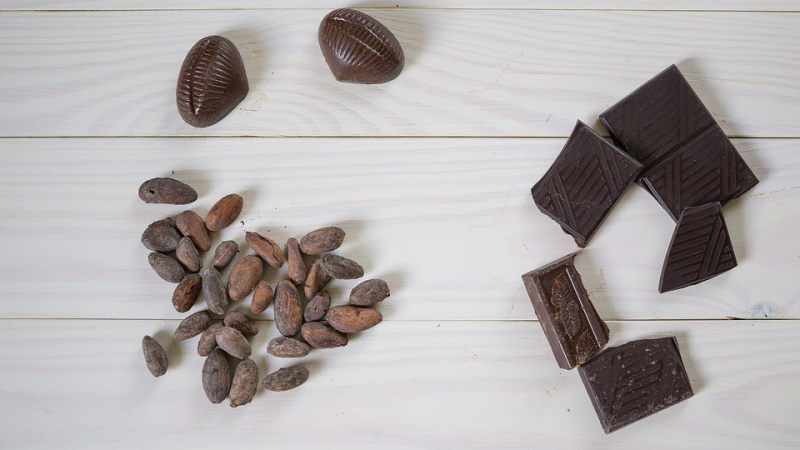 Генетици назоваха родината на шоколада