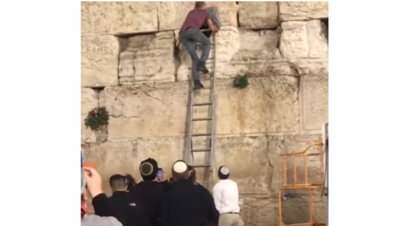 Паника на Стената на плача в Йерусалим след поява на влечуго (ВИДЕО)