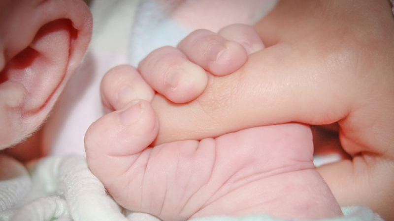 Тризнаци се родиха от два ембриона при първи ин витро опит на майка от Добрич