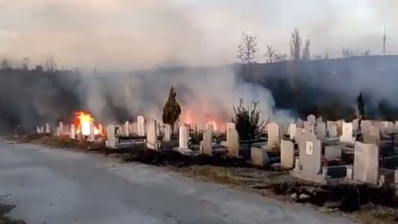 Само в БЛИЦ! Не е за вярване какво се случи на русенските гробища, след като орди нагли цигани се изгавриха с мъртвите и опечалените им близки (СНИМКИ/ВИДЕО) 