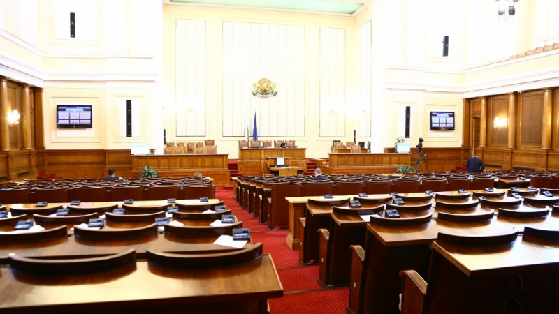 Депутатите приеха бюджетите на президента, омбудсмана и Сметната палата за 2019 г.