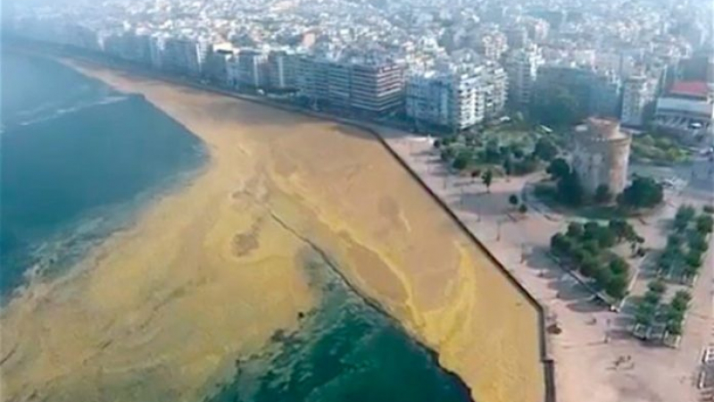 Плашещ феномен! ”Червеният прилив” пак отрови морето на Солун