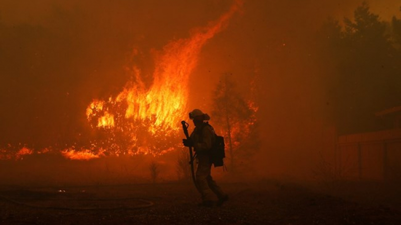 Огнен апокалипсис в Калифорния!  "Лагерен огън" подпали болница и стотици домове (СНИМКИ/ВИДЕО)