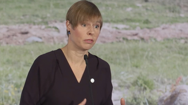 Президентката на Естония заговори за секс с роботи и може ли хората да ги ритат и бият 