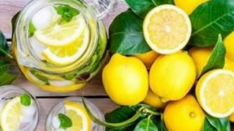 Учени от Ню Йорк посочиха главната опасност от лимоните 