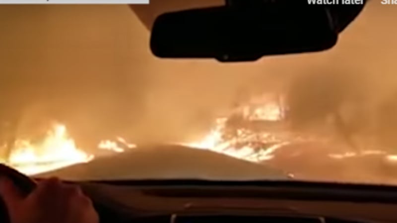 Ужасът от първо лице: Пет невероятни истории на хора, спасили се от огнения ад в Калифорния (СНИМКИ/ВИДЕО)