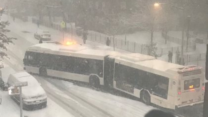Мокър сняг парализира Ню Йорк (ВИДЕО)