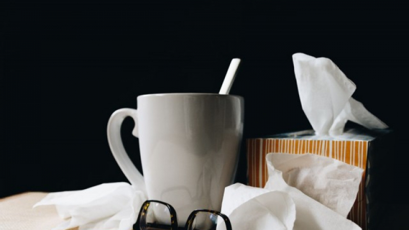 7 начина да спрете настинката още преди да се е появила (СНИМКИ)