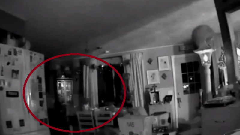 Момиче разглеждаше ВИДЕО от камерите за наблюдение в дома й и се разпищя от ужас, когато видя заснетото 