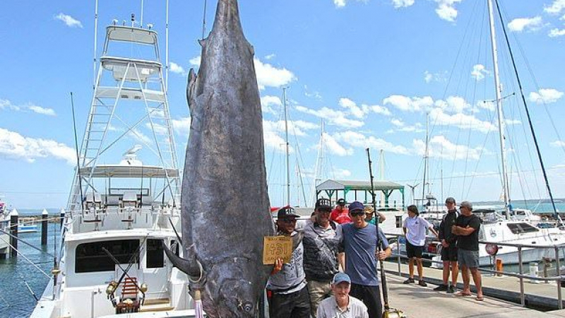 Рибари събраха очите на целия свят с огромния си трофей (СНИМКИ) 
