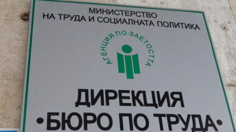 Търсят се 800 българи, които да получават по 41 евро на ден 