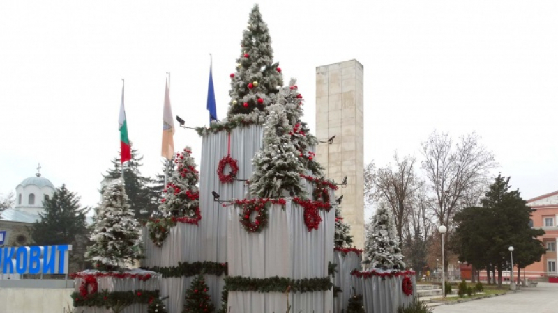 120 елхи украсиха центъра на Луковит за 120-годишнината от обявяването му за град